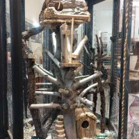 قفس پرندگان زینتی و خانگی