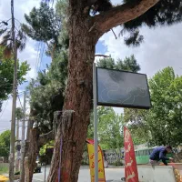 تابلو. و۴العیدی