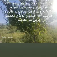 فروش باغ به متراژ ۱۱۰۰ متر مربع