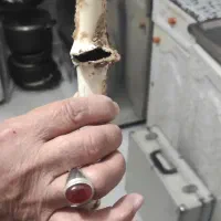 تشخیص ترکیدگی لوله رفع نم ونشتی رطوبت زردی چکه|خدمات پیشه و مهارت|رشت, پاره بیجار|دیوار