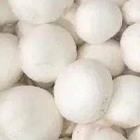 قارچ درجه یک