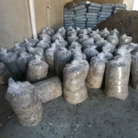 خوارک دام خرید و فروش جو تفاله چغندر علوفه ذرت