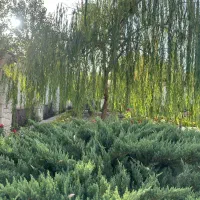 ۲۵۲۱متر زمین سرخاب کردان تهراندشت فقط یک هفته|فروش زمین و ملک کلنگی|کرج, عظیمیه|دیوار