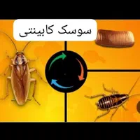 سمپاشی*موریانه سوسک ساس موش*سم پاشی ریشه کنی|خدمات نظافت|اهواز, کوی علوی|دیوار