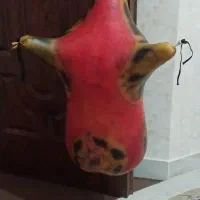 نی انبان جنوب