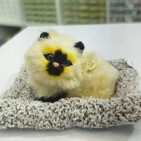 گربه های موزیکال|اسباب‌بازی بچه|یزد, |دیوار