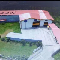 جذب نیرو در سبدسازی