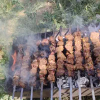 پیک نیک مسافرتی