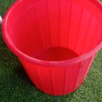 سطل برای میوه چینی