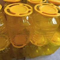 ظرف پلاستیکی ۱۰ لیتری