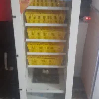دستگاه جوجه کشی ۲۱۰ تایی
