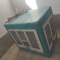 کولرابی