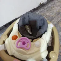 وسایل بچه تاب و کریر و روروئک|اسباب و اثاث بچه|پاکدشت, پاکدشت (مامازند)|دیوار