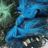 تور لنگری دوگلمی