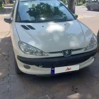 ۲۰۶ اس دی sd بدون رنگ