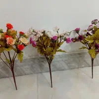 گل و گلدان و شاخه رز