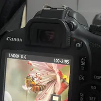 دوربین عکاسی و فیلمبرداری canon|دوربین عکاسی و فیلم‌برداری|شهریار, |دیوار