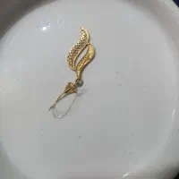 گوشواره گم شده