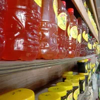 نیروی سبزی خردکنی