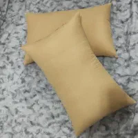 تشک و بالش طبی با پر قو مخصوص دیسک کمر و گردن