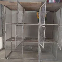 قفس کبوتر وجفتی