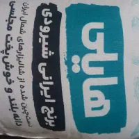 برنج شیرودی هایلی