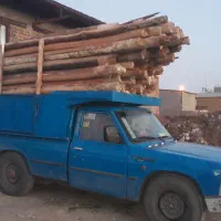 تیره چوب سقفی چوب خیس سرپاوباغی