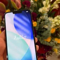 iphon 13promax ZA/A 256GB|موبایل|مشهد, کوثر|دیوار