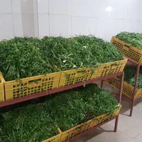 سبزی سرخ شده|خوردنی و آشامیدنی|قم, قلعه کامکار|دیوار
