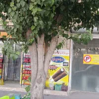 اجاره یک باب مغازه تجاری
