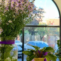 نیروی پخش تراکت آقا