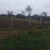 زمین کاربری مسکونی کشاورزی|فروش زمین و ملک کلنگی|تالش, طولارود|دیوار