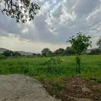 ۳۰۰۰متر زمین درجاده دالان کجایی
