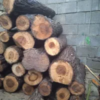 فروش چوب بادام بید وسفیدار ضایعات ونجاری|خدمات باغبانی و درختکاری|همایجان, |دیوار