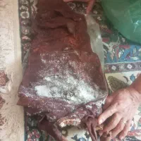 یالوق