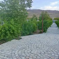 باغ در بیضا|فروش خانه و ویلا|بیضا, |دیوار