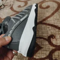 کفش سالمون|کیف، کفش، کمربند|کیش, |دیوار