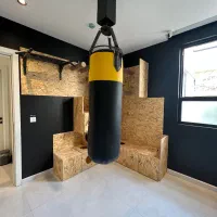 دکور اتاق بازی گربه و سگ