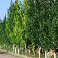 فروش زمین تجاری
