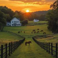 ۲۵۰ متر //دو نبش//جنت آباد