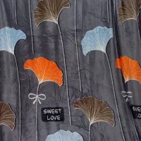 پتومسافرتی خارجی ژله ای|رختخواب، بالش، پتو|شیراز, کوشک میدان|دیوار