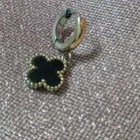 گوشواره طلا پیدا شده