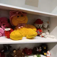 عروسک پولیشی|اسباب‌بازی بچه|گرگان, |دیوار