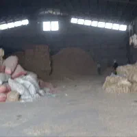 کاه کوبیده|لوازم جانبی حیوانات|قم, قلعه کامکار|دیوار