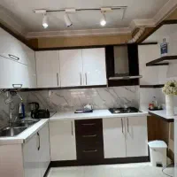 نظافت منزل توسط اقا و خانم