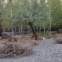 دهبکری زمین مسکونی750مترمرکز شهرمنی850میلیون