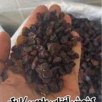 کشمش /مویز /شیره انگور|خوردنی و آشامیدنی|تهران, مولوی|دیوار