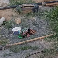 پمپ آب بنزینی|اشیا|اراک, |دیوار