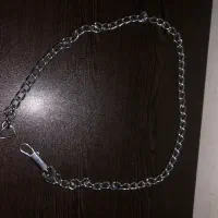 زنجیر درشت، قلاده سگ