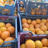 پرتقال درجه ۱ شیرین